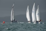 marks whyw23 sun 750 9168